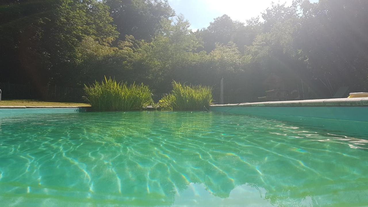 La Perche Chateau Igny מראה חיצוני תמונה